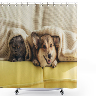 Personality  Cat And Dog Lying Under Plaid On Sofa  Shower Curtains