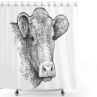 Personality  Cow Head Portrait Illustration, Drawing, Engraving, Ink, Line Art, Vector Shower Curtains