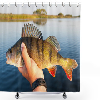 Personality  Perch Fishing At Summer Season Shower Curtains