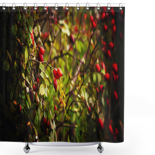 Personality  Autumn Natural Background  Shower Curtains