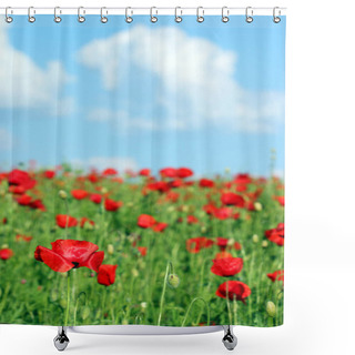 Personality  Red Poppies Wildflowers Spring Season Shower Curtains