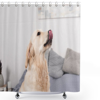 Personality  Dog Licking Up Nose Shower Curtains