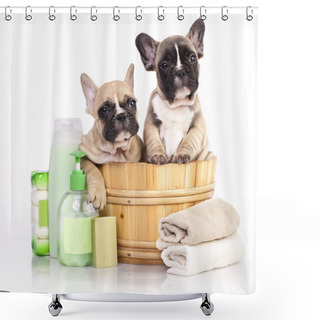 Personality  French  Bulldog Puppy In Wooden Wash Shower Curtains