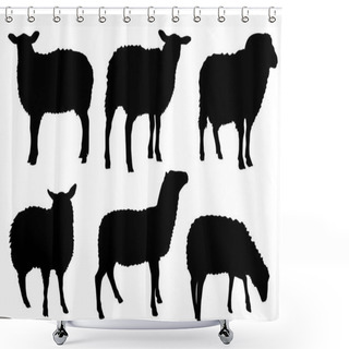 Personality  Sheep Lamb Silhouette Vector Set Shower Curtains