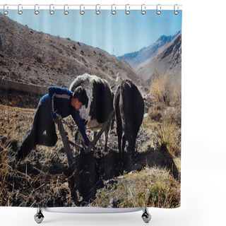 Personality  Plowman Treat His Land In Nepal Himalayas With Yak And Old Style Manual Plow.  Picturesque View On The Trekking Path To Annapurna Mountain Shower Curtains