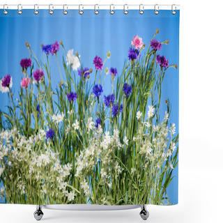Personality  Wild Flowers Blooming Over Blue Sky Shower Curtains