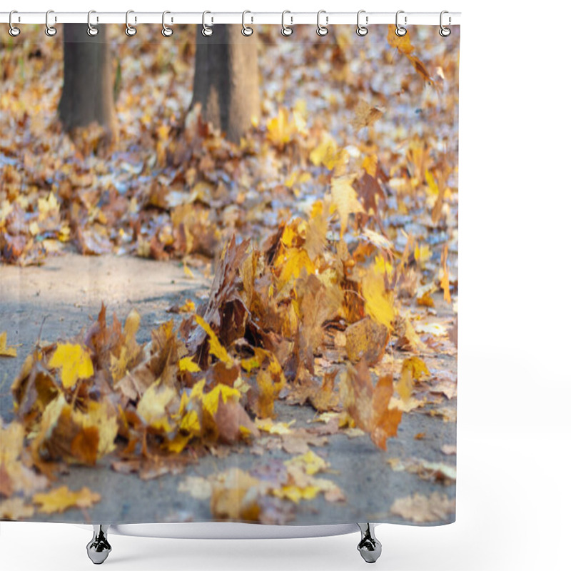 Personality  Autumn Leaves Are Blown By The Wind Along The Ground In The Park. Autumn, Fall Concept. Shower Curtains