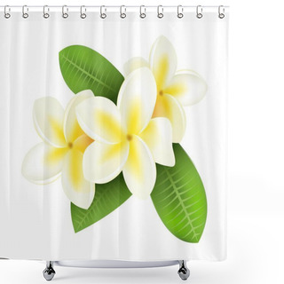 Personality  Realistic Plumeria. Frangipani Tropical Plants With White And Yellow Petals. Isolated Blooming Flowers And Green Leaves. Hawaiian Flora. Decorative Botanical Element. Vector Blossom Shower Curtains