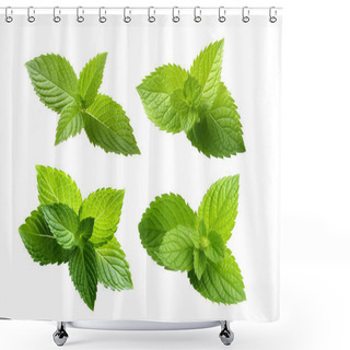 Personality  Fresh Paper Mint Leaf Isolated White Background Shower Curtains