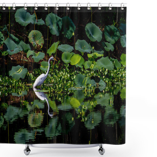 Personality  A Beautiful Great White Egret With Reflection Shower Curtains