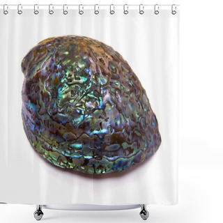 Personality  Cleared Nacreous Seashell Of Haliotis Iris, The Rainbow Abalone Or Paua. Lateral View. Shower Curtains