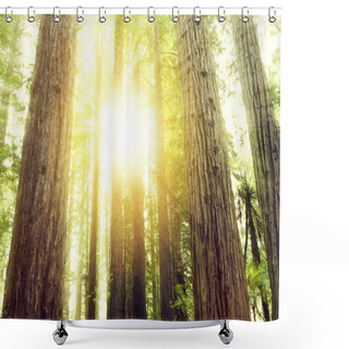 Personality  Forest Light Shower Curtains