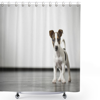 Personality  Watch Dog Shower Curtains