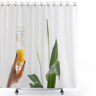 Personality  Cropped View Of Woman Holding Glass Of Fresh Delicious Yellow Smoothie Near Green Peace Lily Plant Isolated On White, Panoramic Shot Shower Curtains
