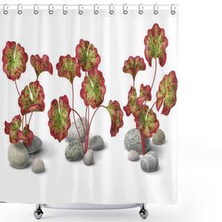 Personality  Water Lily And Stones Set Shower Curtains