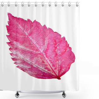 Personality  Pink Leaf Of The Hibiscus Isolated On White Shower Curtains