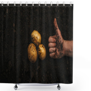 Personality  Cropped View Of Farmer Showing Thumb Up Near Ripe Natural Potatoes In Ground Shower Curtains