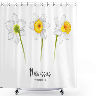 Personality  Vector Daffodil, Narcissus Flower Set Shower Curtains