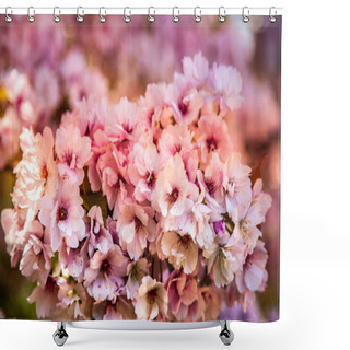 Personality  Selective Focus Of Beautiful Cherry Tree Blossom Backdrop Shower Curtains