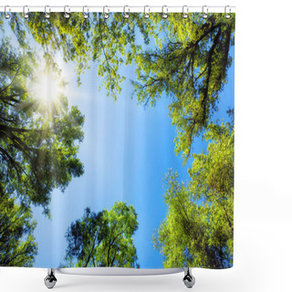 Personality  Treetops Framing The Sunny Blue Sky Shower Curtains