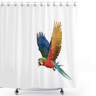 Personality  One Macaw Parrot Is Flying. Shower Curtains