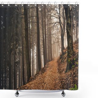 Personality  Path, Fog And Autumn Colors In The Woods Of Campo Dei Fiori Varese  Shower Curtains
