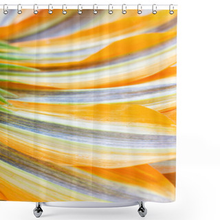 Personality  Flower Petals Background Shower Curtains