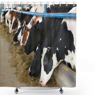 Personality  Cows On Farm Shower Curtains