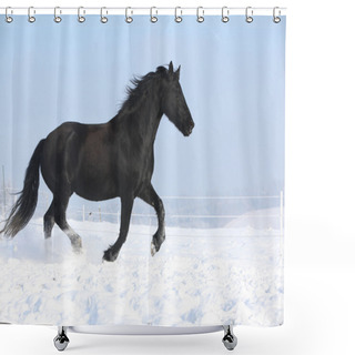 Personality  Beautiful Friesian Mare With Flying Mane Running In The Snow Shower Curtains
