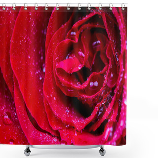 Personality  Selective Focus Of Close Up Rose Flower With Droplet Shower Curtains
