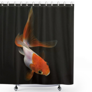 Personality  Goldfish On Black Background Shower Curtains