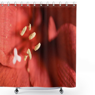 Personality  Macro View Of Red Amaryllis Flower Background Shower Curtains