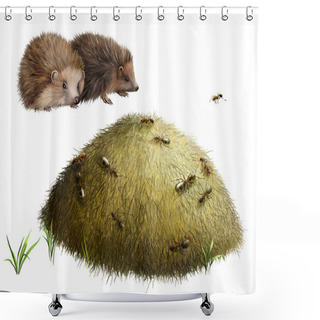 Personality  Anthill With Ants. Two Hedgehogs Shower Curtains