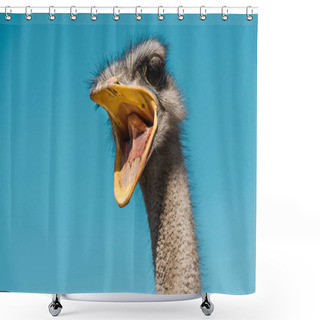 Personality  Beautiful Ostrich With Open Beak Against Blue Sky Shower Curtains