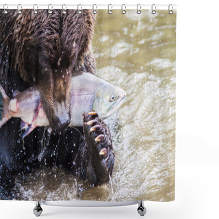 Personality  Brown Bear With Salmon Shower Curtains