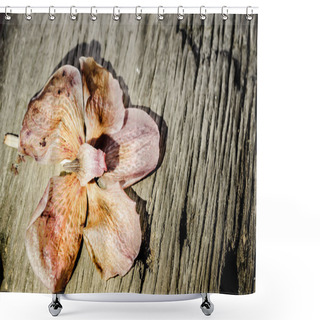 Personality  Orchid Flower Rot On The Wooden Floor Shower Curtains