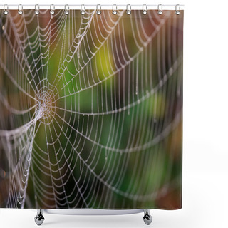 Personality  Spider Web Shower Curtains