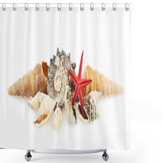 Personality  Pile Of Seashells Shower Curtains