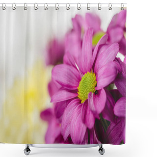 Personality  Purple Fresh Flowers Shower Curtains