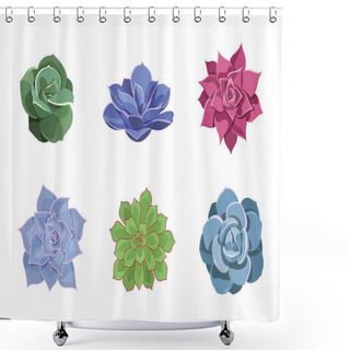 Personality  Set Of Color Succulents Of Echeveria. Desert Flowers In Cartoon Style For Print And Design. Floral Collection Of Indoor Plant. Vector Illustration, Isolated Colorful Elements On White Background Shower Curtains