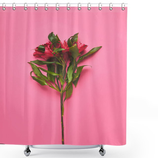 Personality  Top View Of Branch Of Alstroemeria Flowers On Pink, Mothers Day Concept Shower Curtains