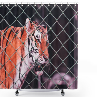 Personality  KYIV, UKRAINE - NOVEMBER 1, 2019: Tiger Behind Net Of Circus Arena Shower Curtains