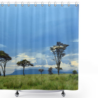 Personality  Serengeti National Park Scenery, Tanzania, Africa Shower Curtains