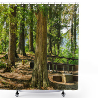 Personality  Sprague Creek Campground In Glacier National Park In Montana, United States Shower Curtains