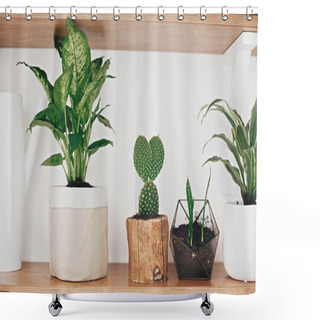 Personality  Stylish Wooden Shelves With Modern Green Plants And White Wateri Shower Curtains