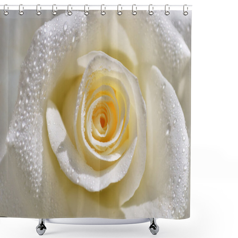 Personality  White Rose shower curtains