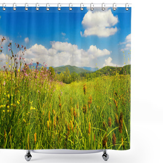 Personality  Spring Time Field Shower Curtains