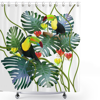 Personality  Toucans In Tropical Forests Among Monstera Leaves And Flowers Gl Shower Curtains