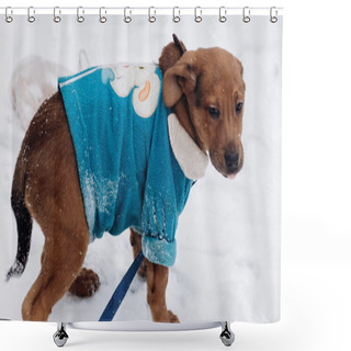 Personality  Puppy In Blue Sweater  Shower Curtains