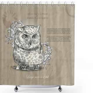 Personality  Vector Owl From Great Encyclopedia Of Animal Planet Earth On Brown Background Shower Curtains